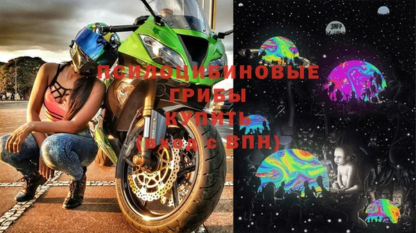 ешки Медногорск
