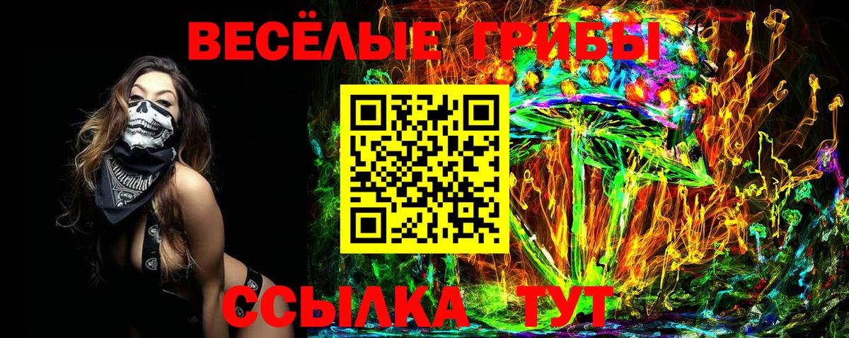 купить  сайты  Новодвинск  Галлюциногенные грибы Cubensis 