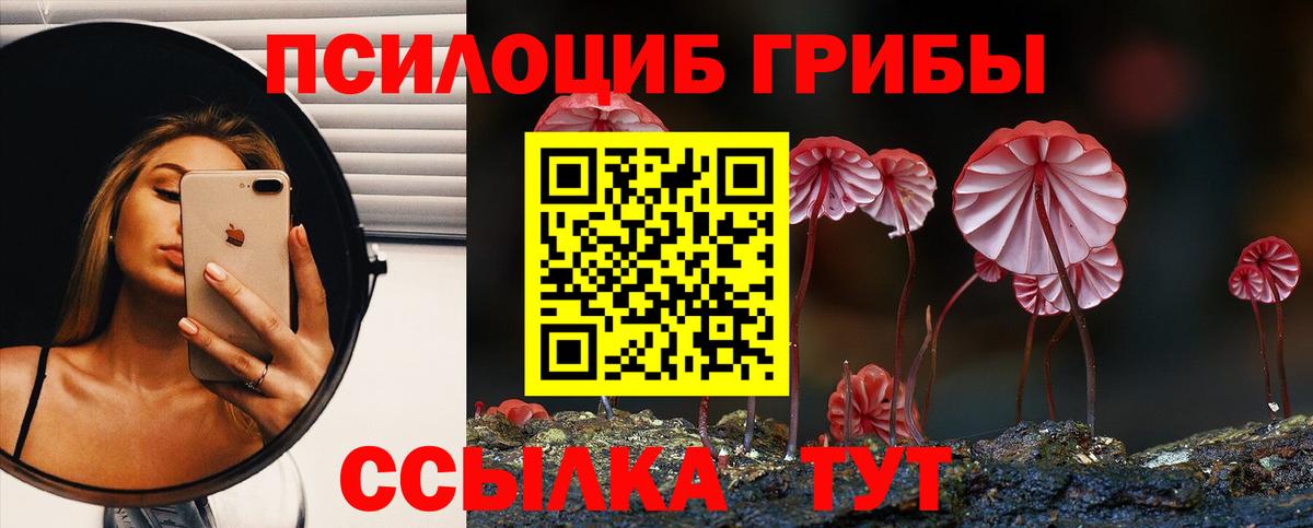 Галлюциногенные грибы Psilocybine cubensis  Псилоцибиновые грибы MAGIC MUSHROOMS  наркошоп  Новодвинск  Вход с VPN 