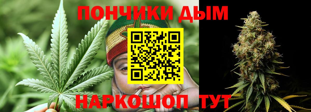 Шишки марихуана Amnesia  Вход с VPN  Каннабис Bruce Banner  Новодвинск  МАРИХУАНА сатива 